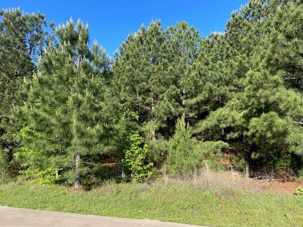 Big Sandy, TX 75755,619 W Broadway Street