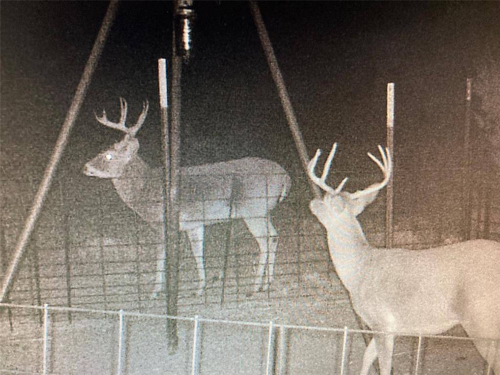 Old Glory, TX 79540,TBD 114.6 ACRES CR 178