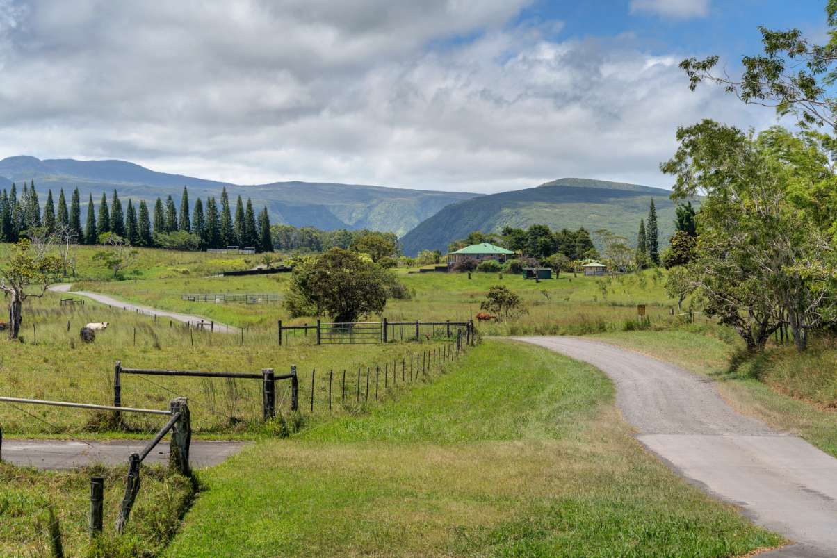 Honokaa, HI 96727,47-5254 WAIKOEKOE LN