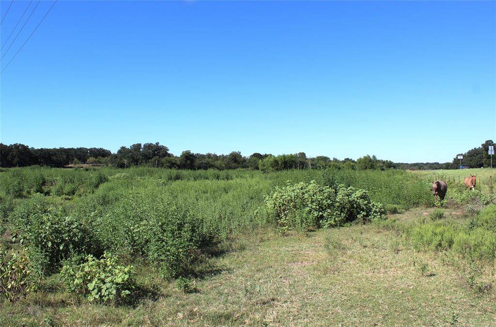 Comanche, TX 76442,165 County Road 315