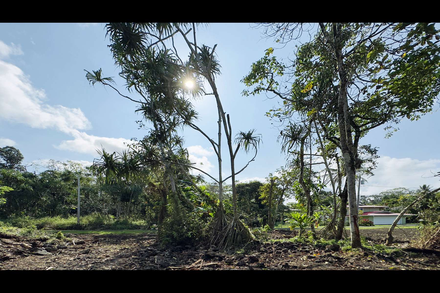 Pahoa, HI 96778,PUHI ST