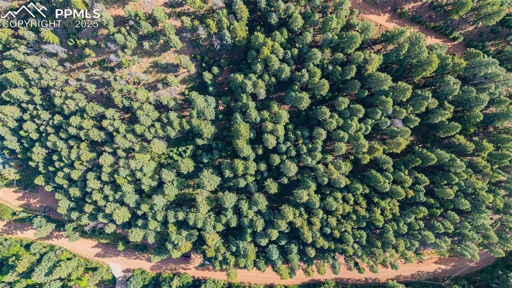 Larkspur, CO 80118,13255 Spruce Creek CIR