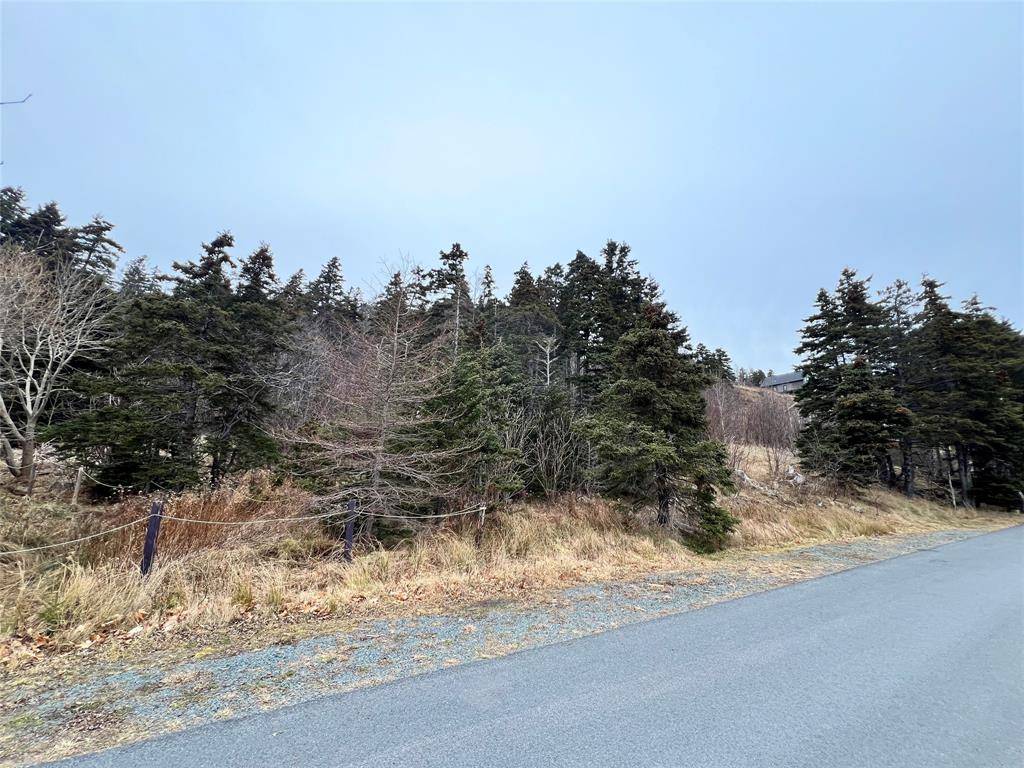 Clarkes Beach, NL A0A1W0,31 Harbour Drive