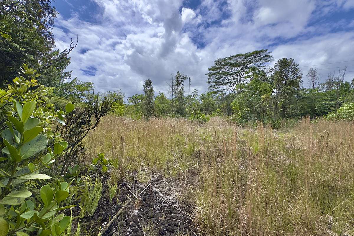 15-1641 KALOLI DR, Keaau, HI 96749