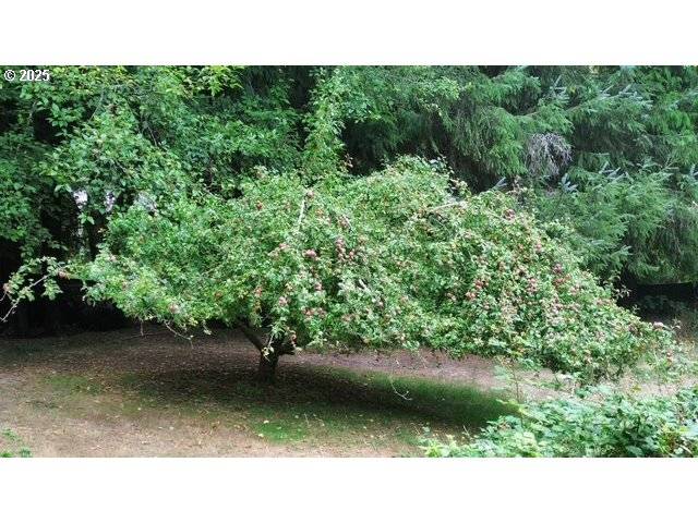 Florence, OR 97439,4990 N LOFTUS RD