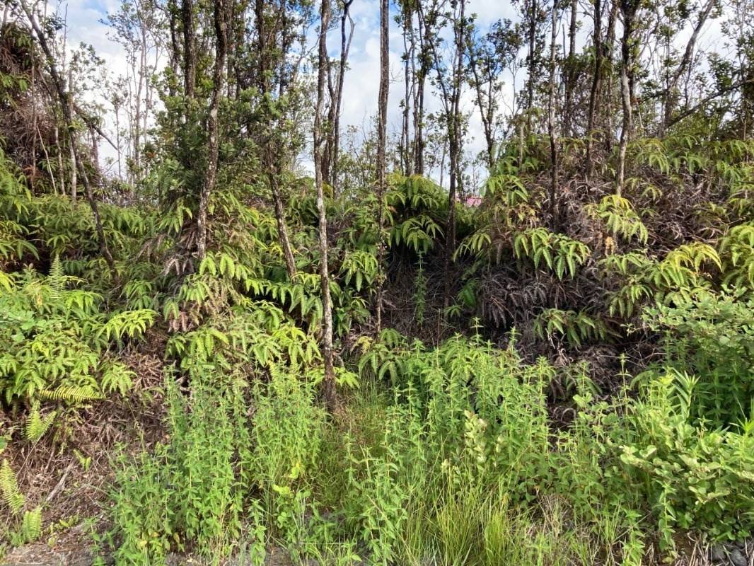 Volcano, HI 96785,OHIALANI RD
