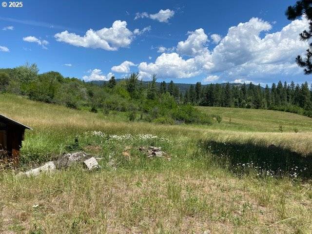 Halfway, OR 97834,47664 RYALL RD