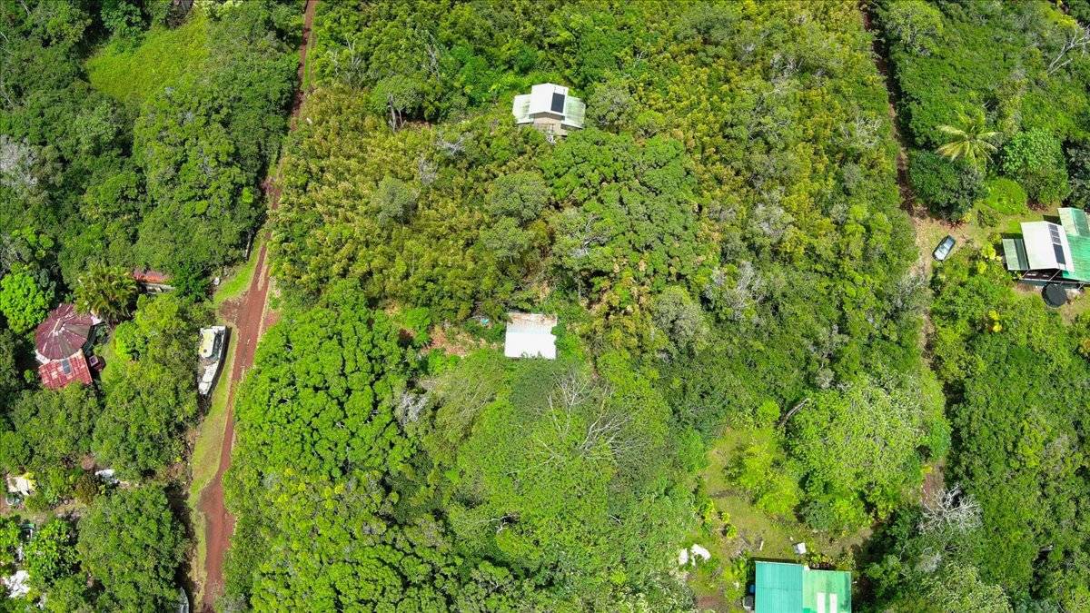 Pahoa, HI 96778,12-4281 KAPIOLANI ST