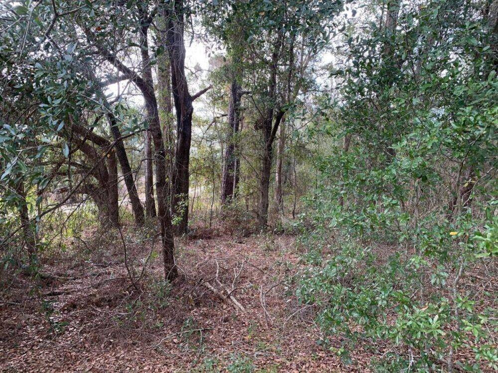 Ocala, FL 34481,0 SW 30th place