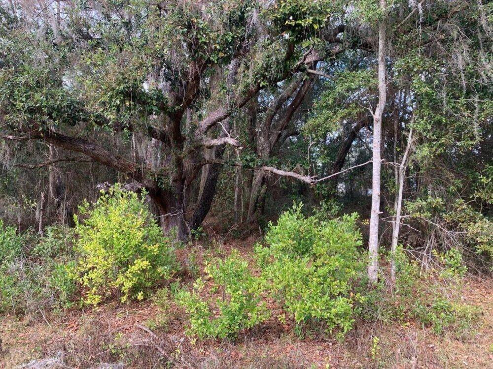 Ocala, FL 34481,0 SW 30th place