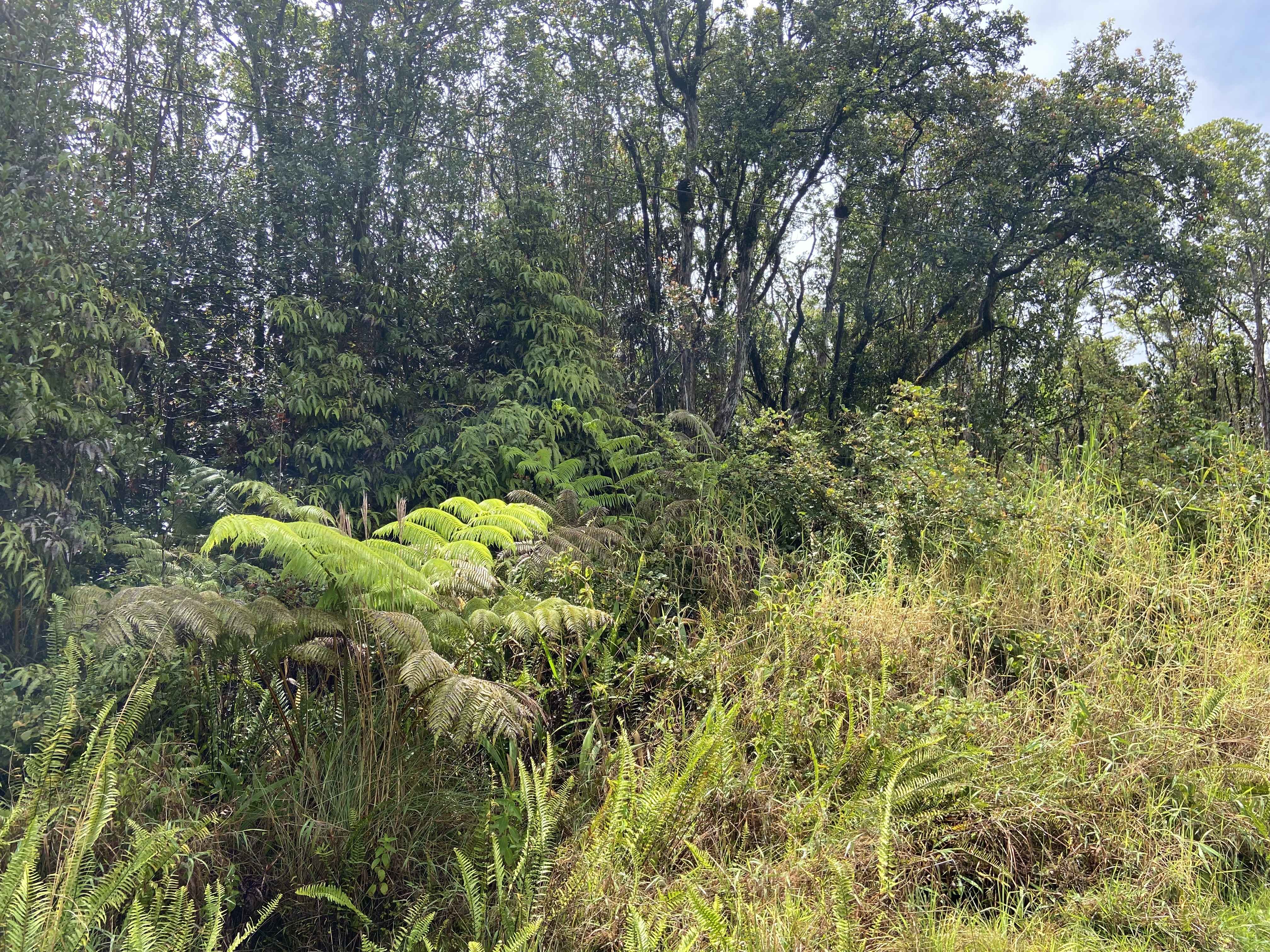 Volcano, HI 96785,ROAD 4