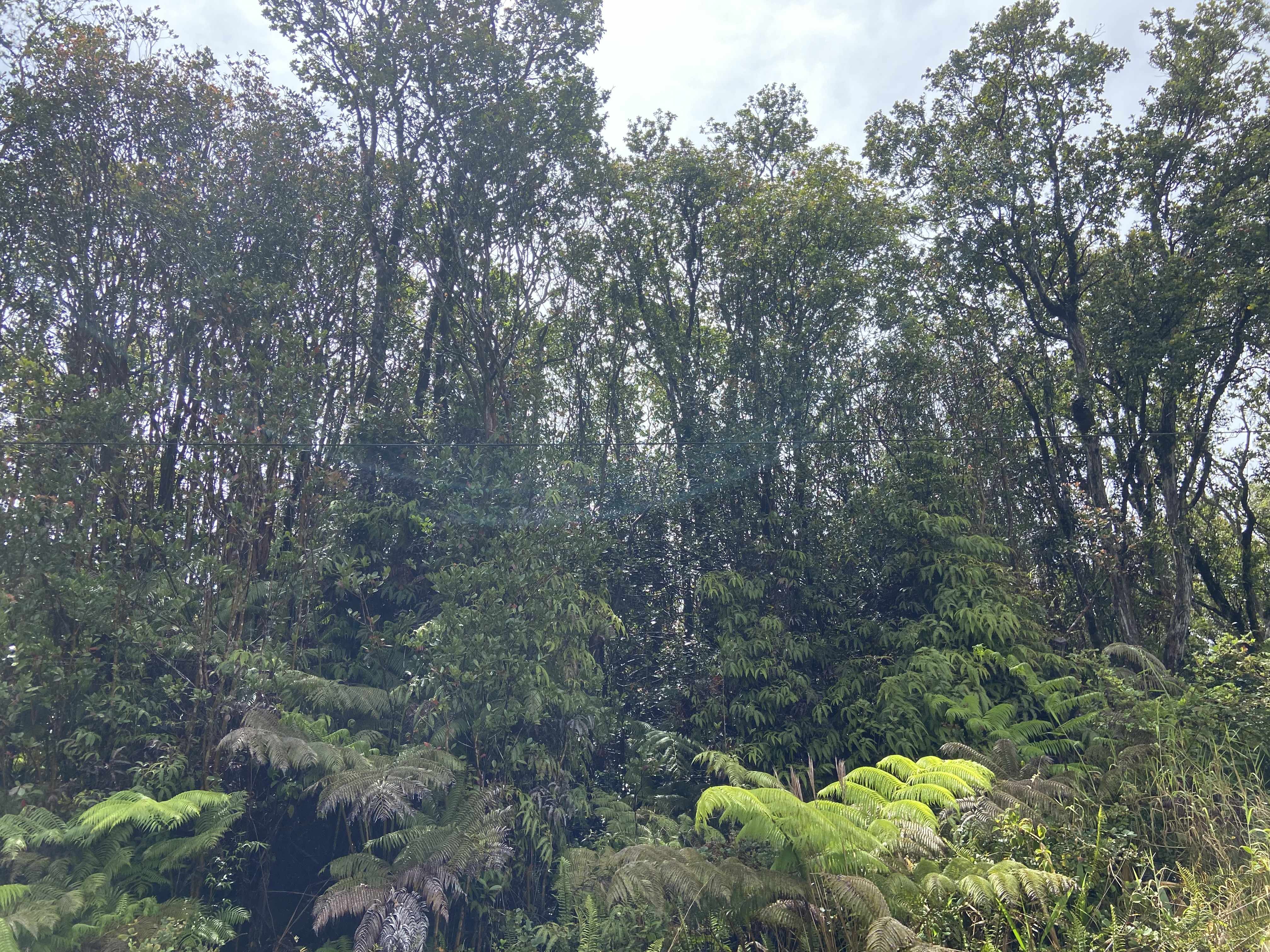 Volcano, HI 96785,ROAD 4