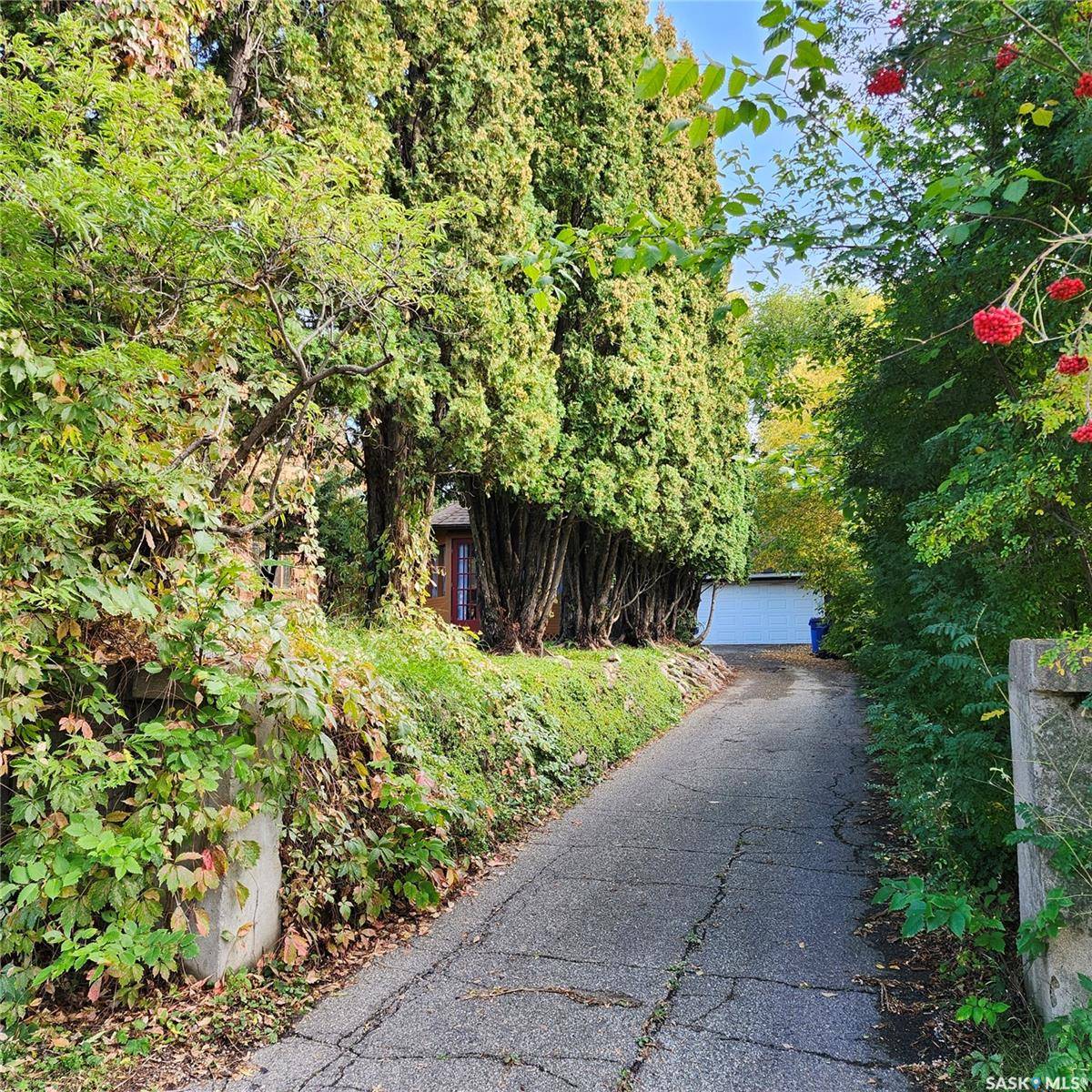 Prince Albert, SK S6V 4C8,313 19th STREET W