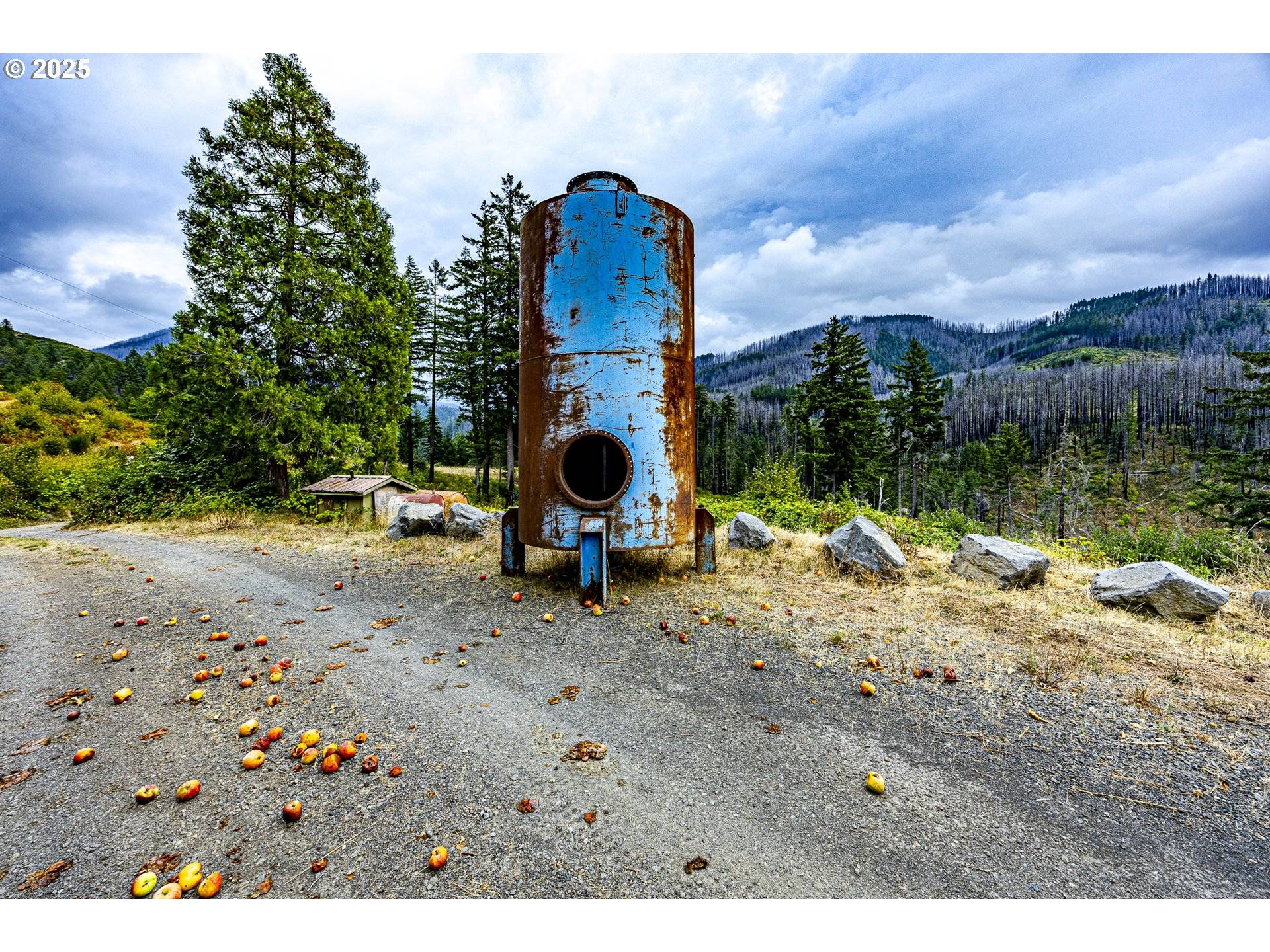 Vida, OR 97488,47555 MCKENZIE HWY