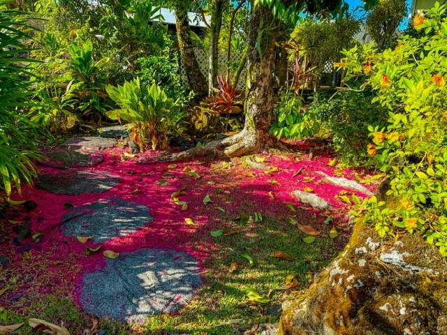 Hilo, HI 96720,28 S WILIWILI ST