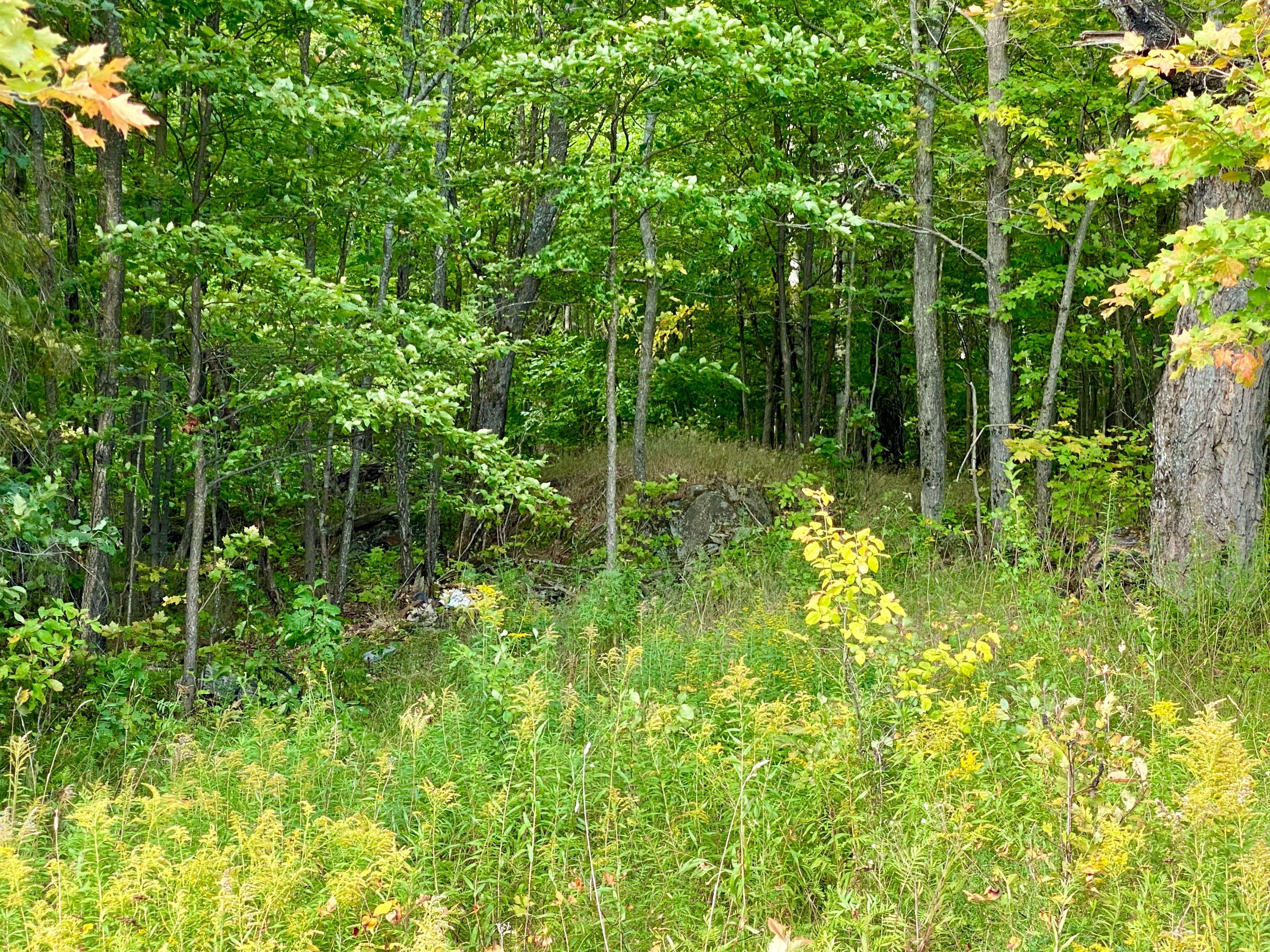 0 Clear Lake RD N, Parry Sound Remote Area, ON P0H 1A0