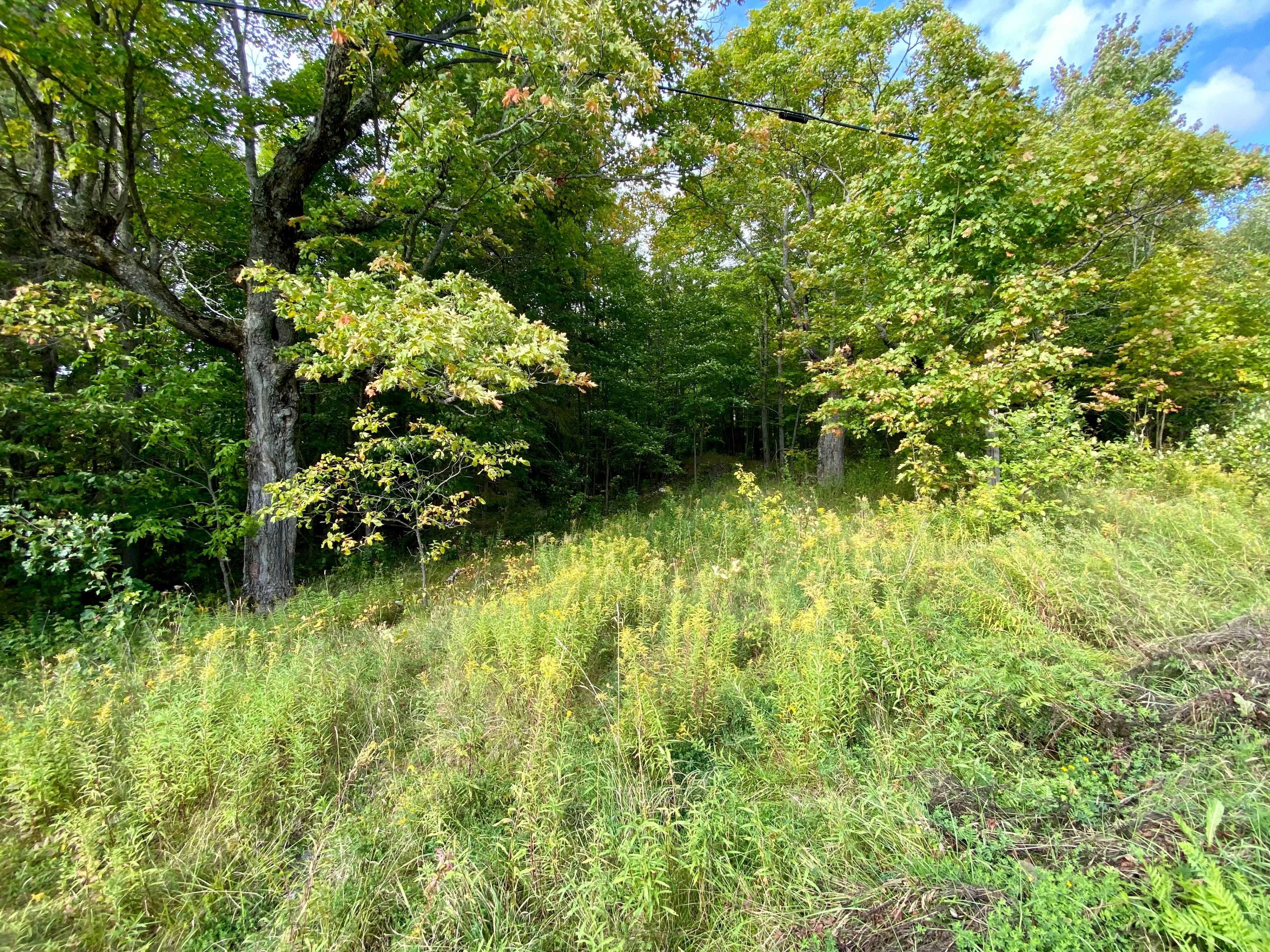 0 Clear Lake RD N, Parry Sound Remote Area, ON P0H 1A0