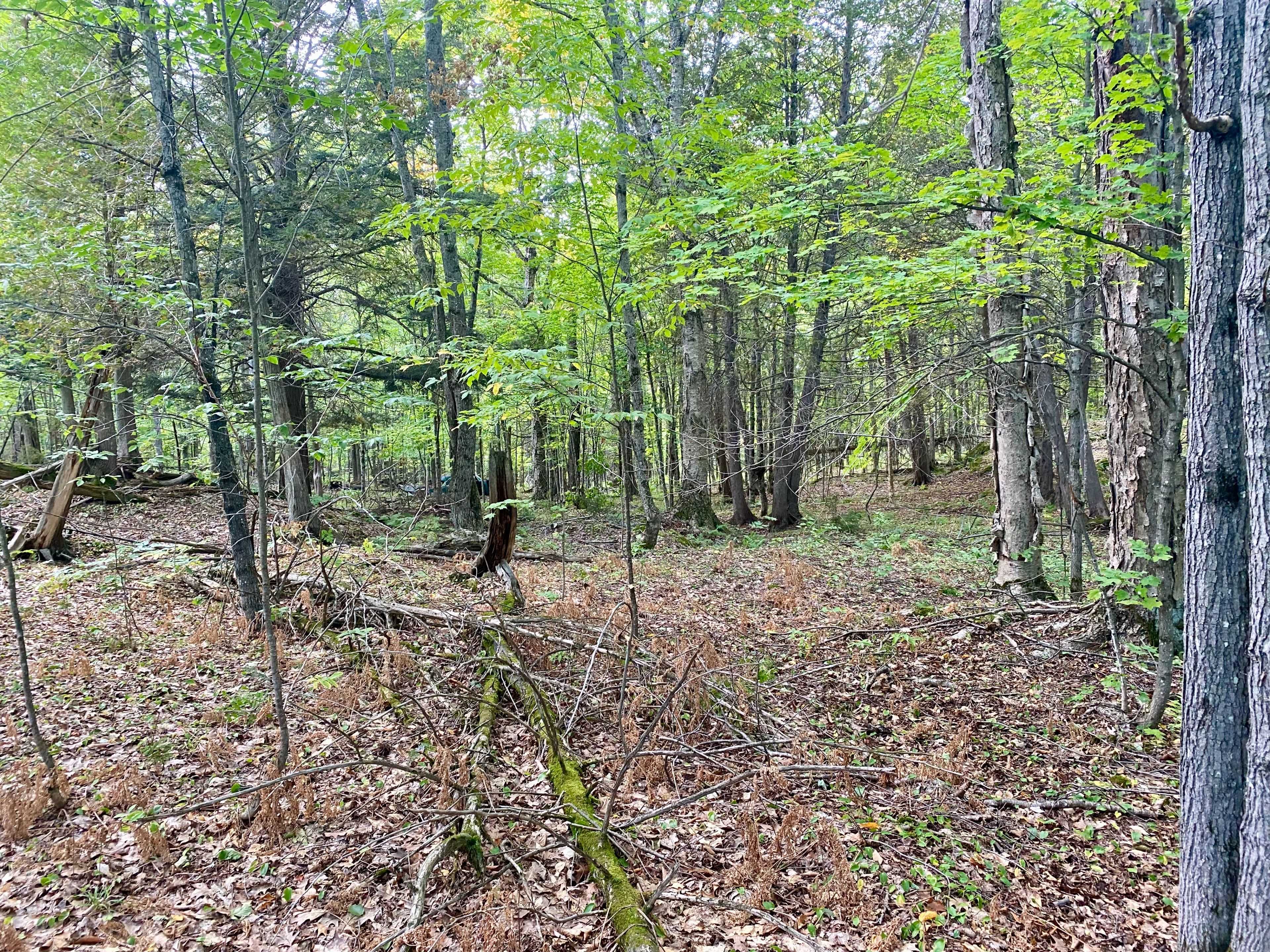 0 Clear Lake RD N, Parry Sound Remote Area, ON P0H 1A0