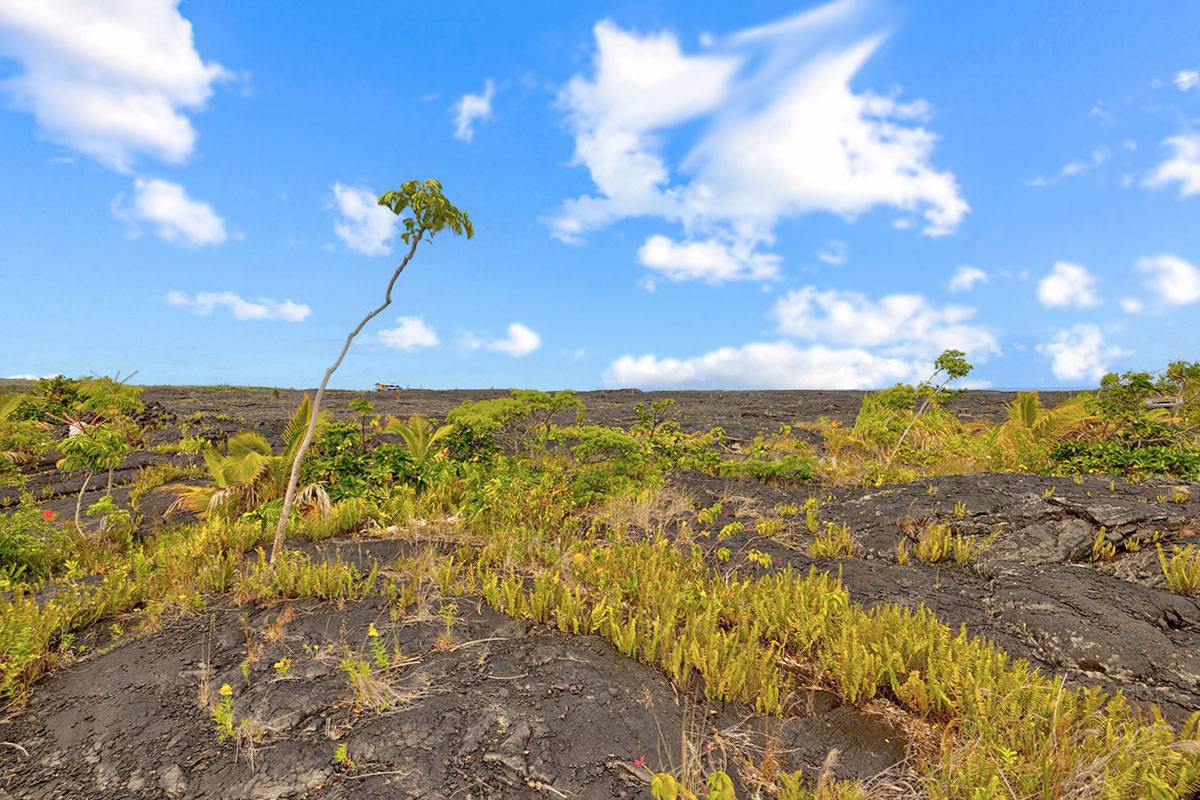 Pahoa, HI 96778,PIILANI RD