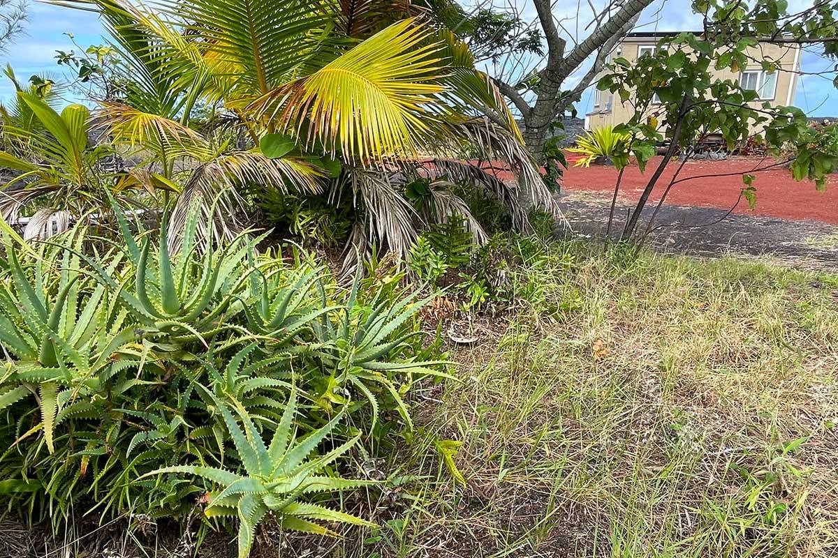 Pahoa, HI 96778,PIILANI RD