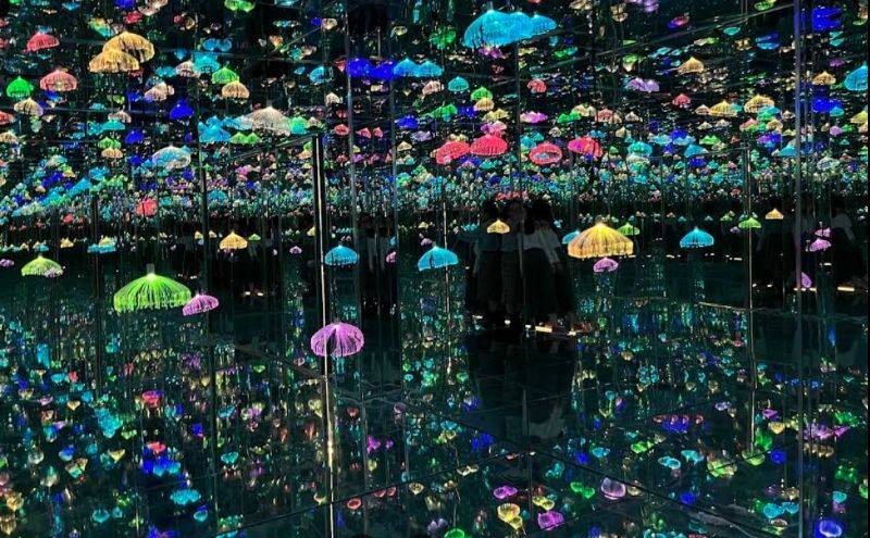 Mississauga, ON L5L 5M8,2150 Dunwin DR #4