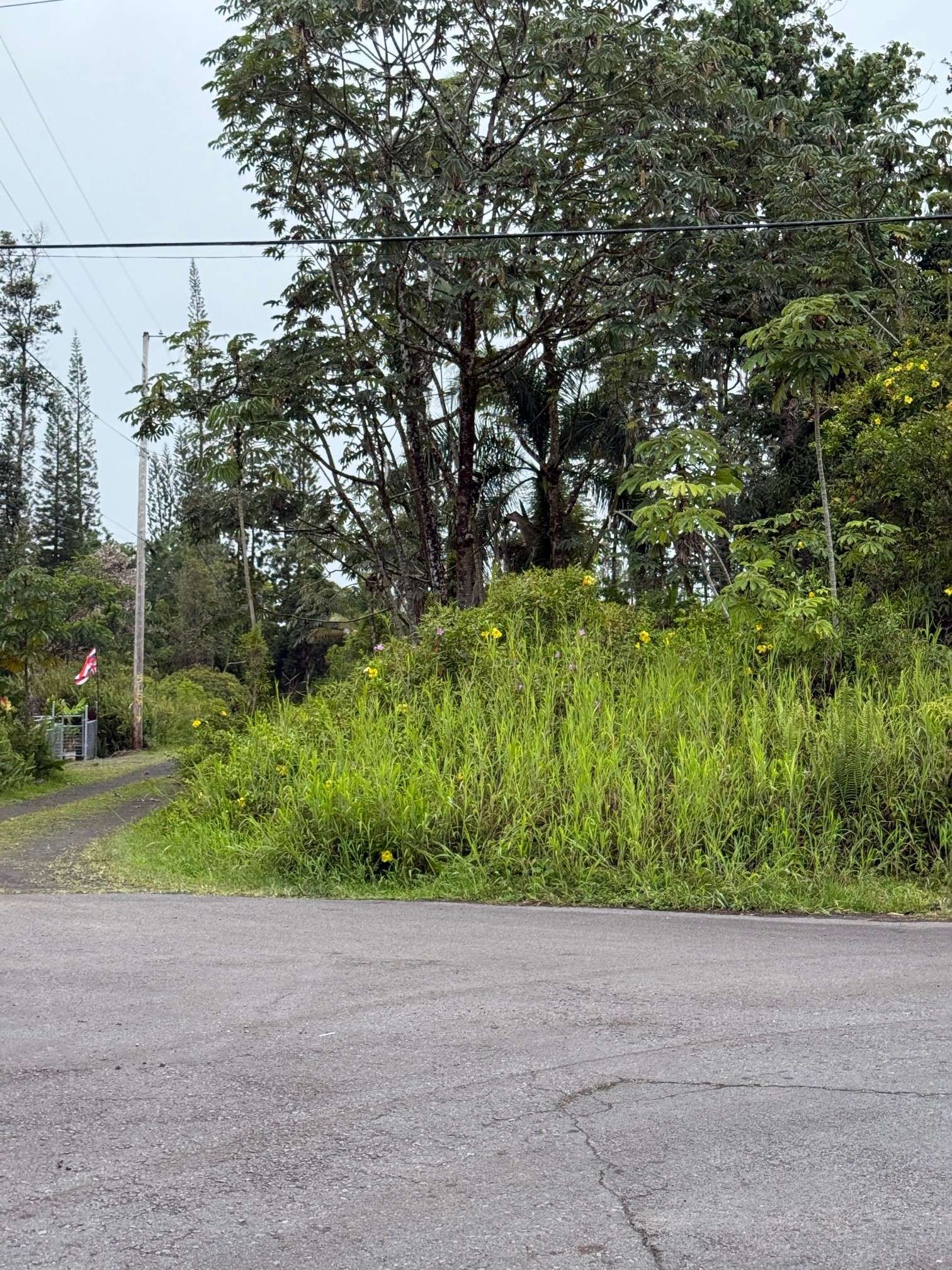 Kurtistown, HI 96760,UILANI DR