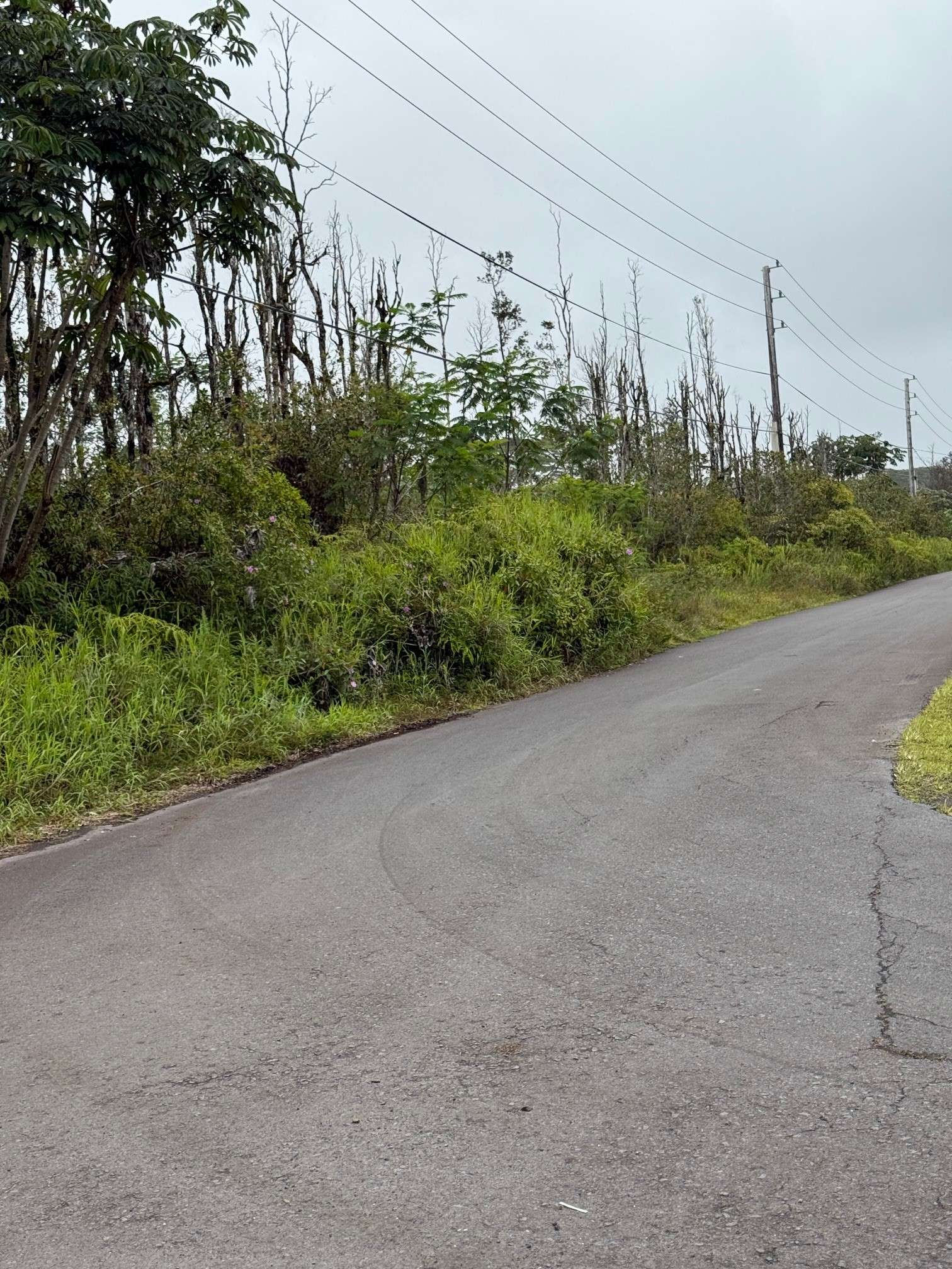 Kurtistown, HI 96760,UILANI DR