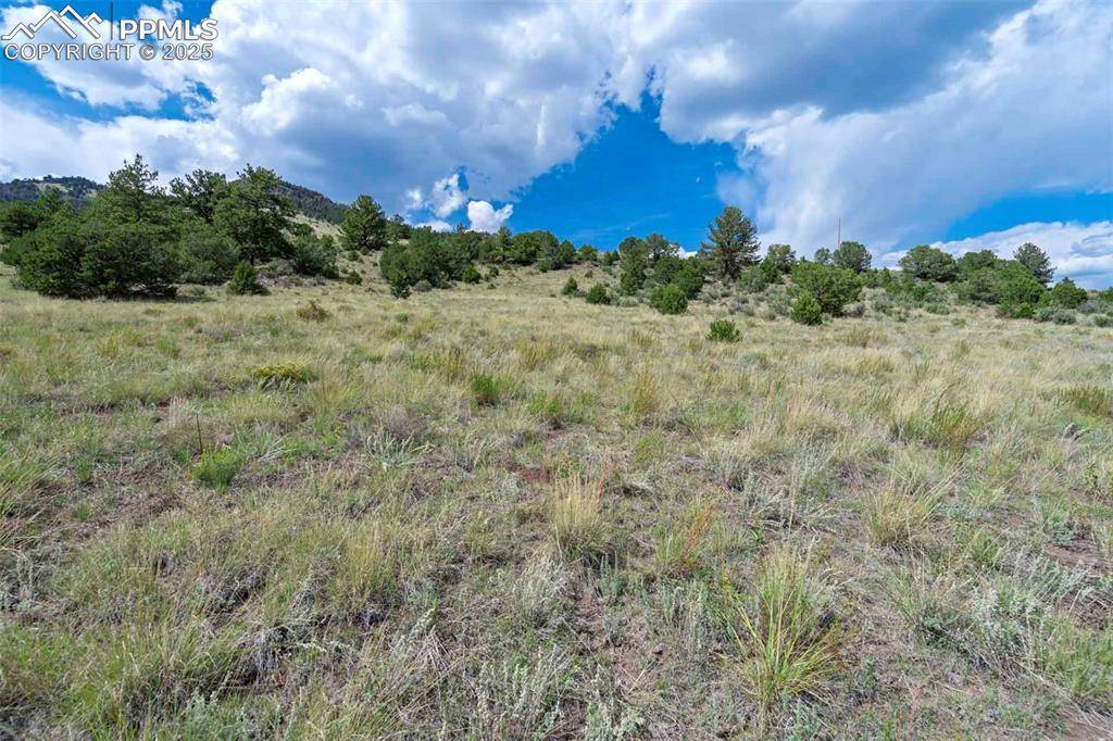 Guffey, CO 80820,00 Witcher Mountain RD