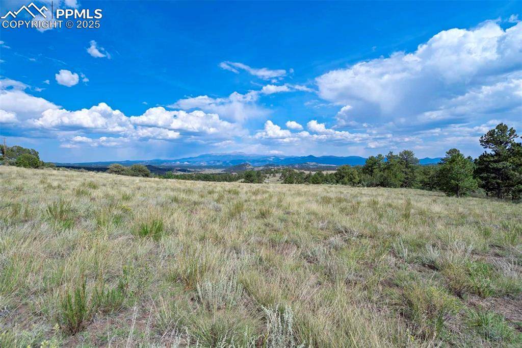 Guffey, CO 80820,00 Witcher Mountain RD