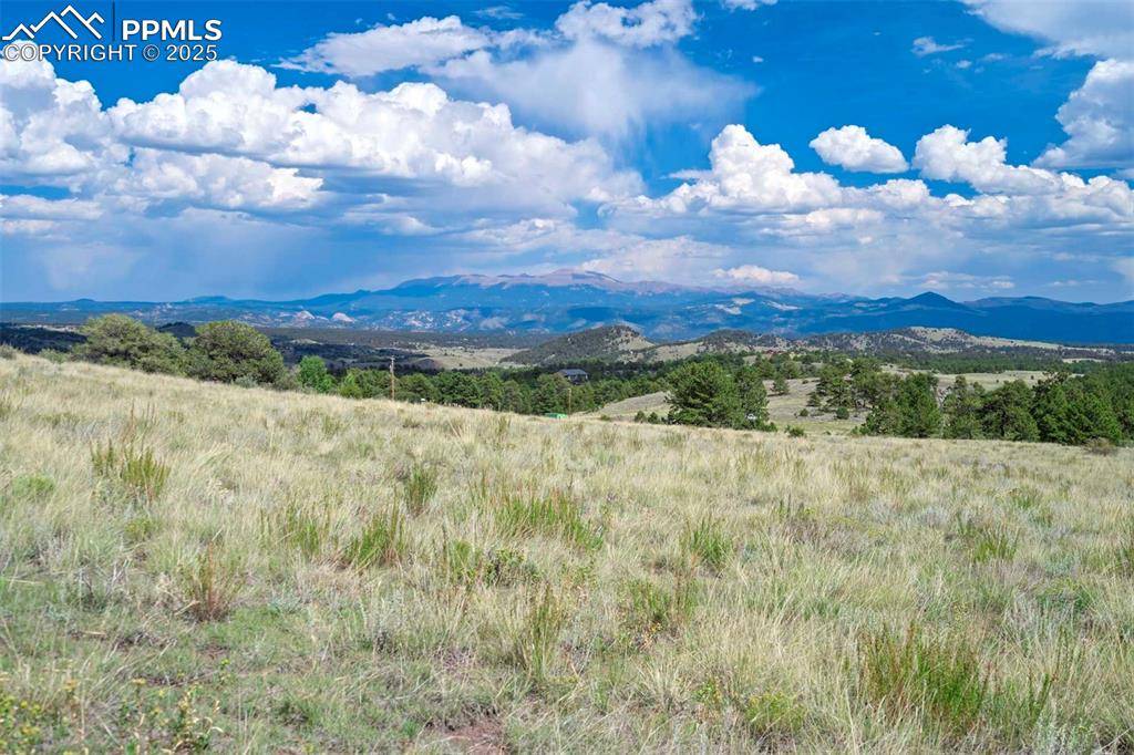 Guffey, CO 80820,00 Witcher Mountain RD