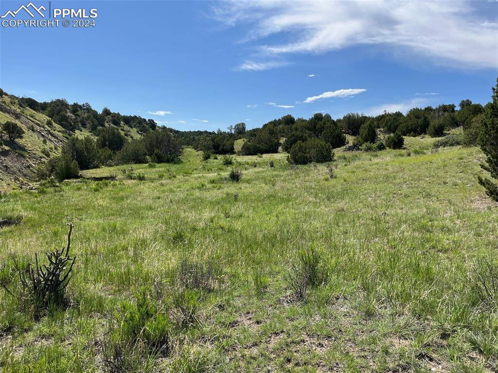 Pueblo, CO 81004,Railroad Springs RD