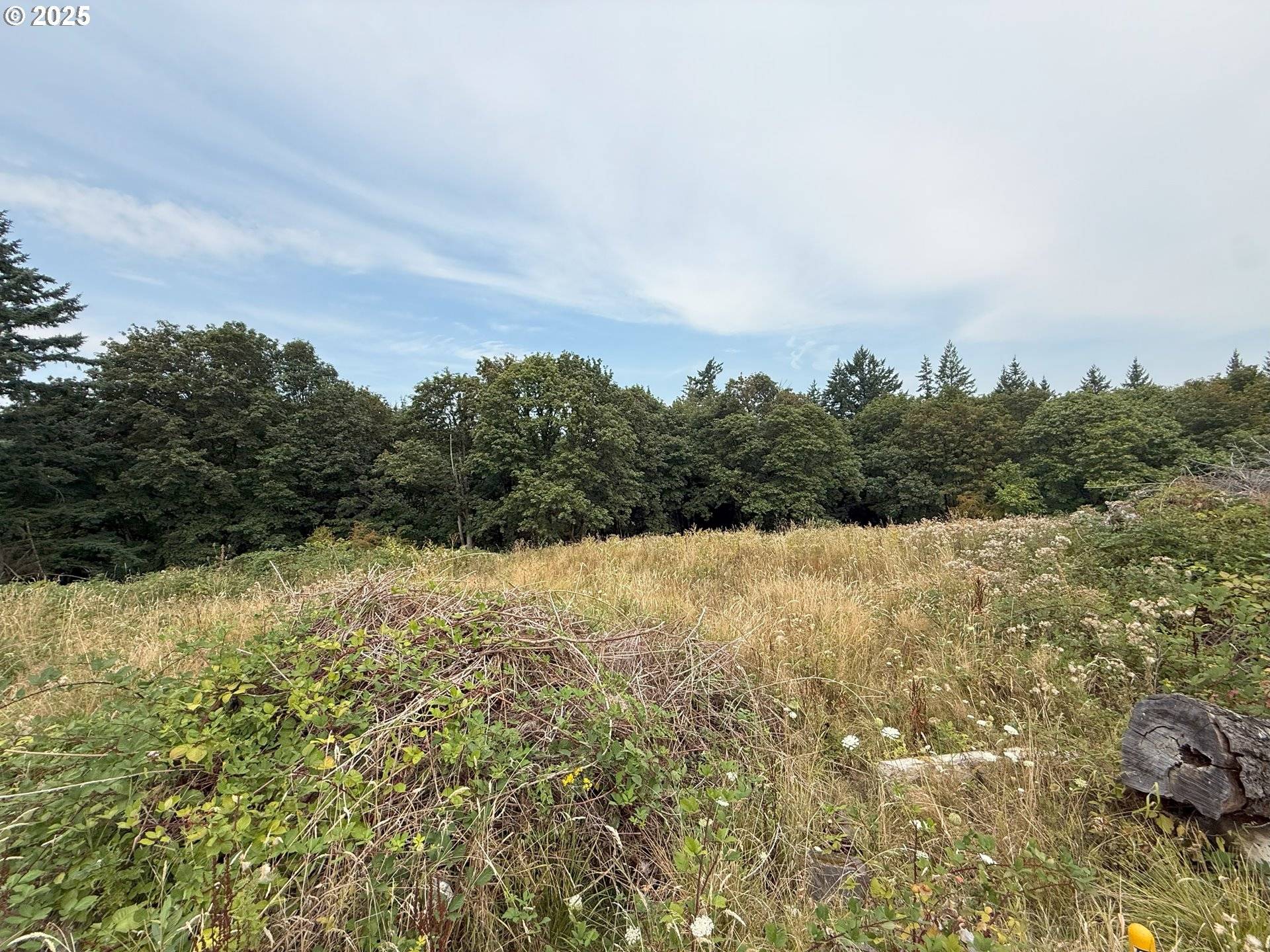 Happy Valley, OR 97086,12040 SE MT SCOTT BLVD