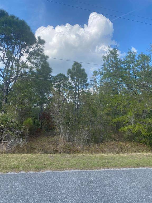 Orlando, FL 32833,Lot 26 Seaview Street