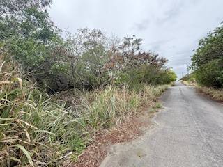 Naalehu, HI 96772,MARK TWAIN ST