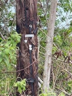 Naalehu, HI 96772,MARK TWAIN ST