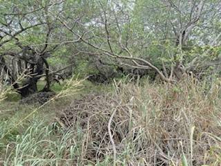 Naalehu, HI 96772,MARK TWAIN ST