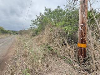 Naalehu, HI 96772,MARK TWAIN ST