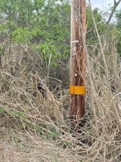 Naalehu, HI 96772,MARK TWAIN ST