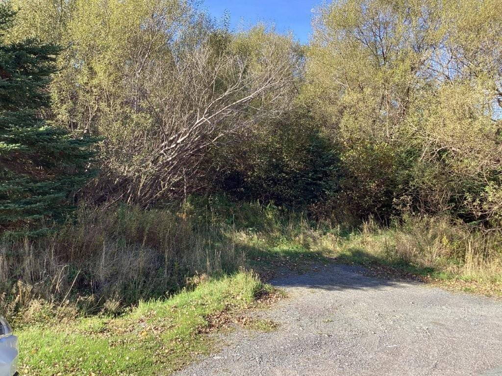 Harbour Grace, NL A0A 2N0,22-28 Parson's Road