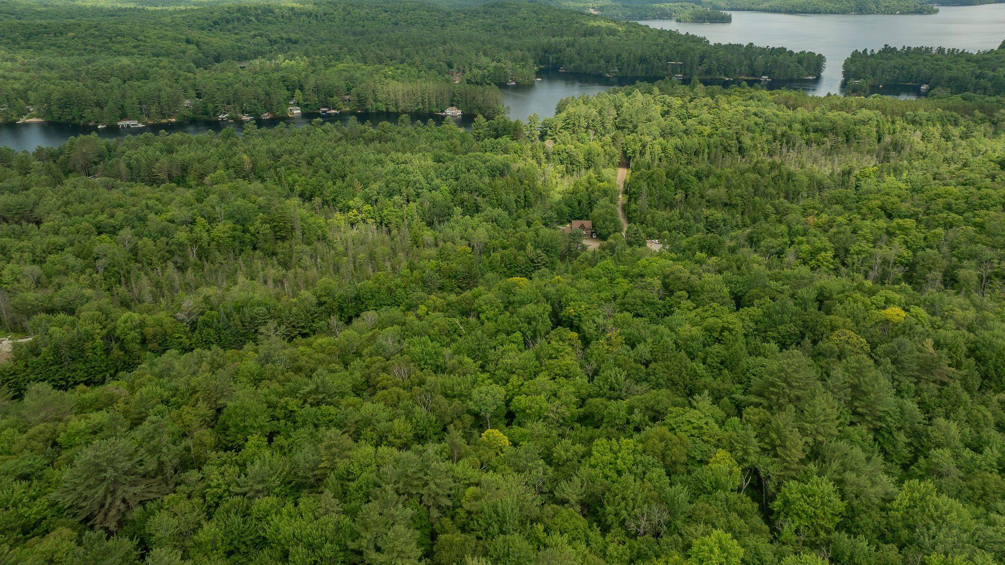 Lake Of Bays, ON P0B 1A0,2750 Muskoka 117 RD