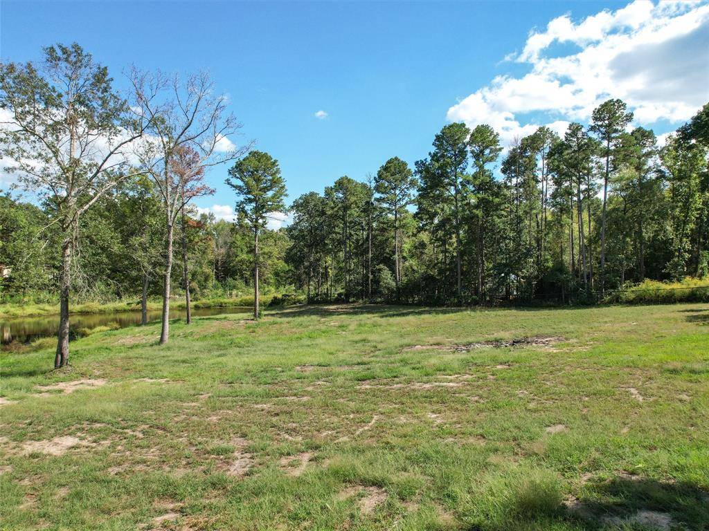 Big Sandy, TX 75755,TBD Holstein Rd