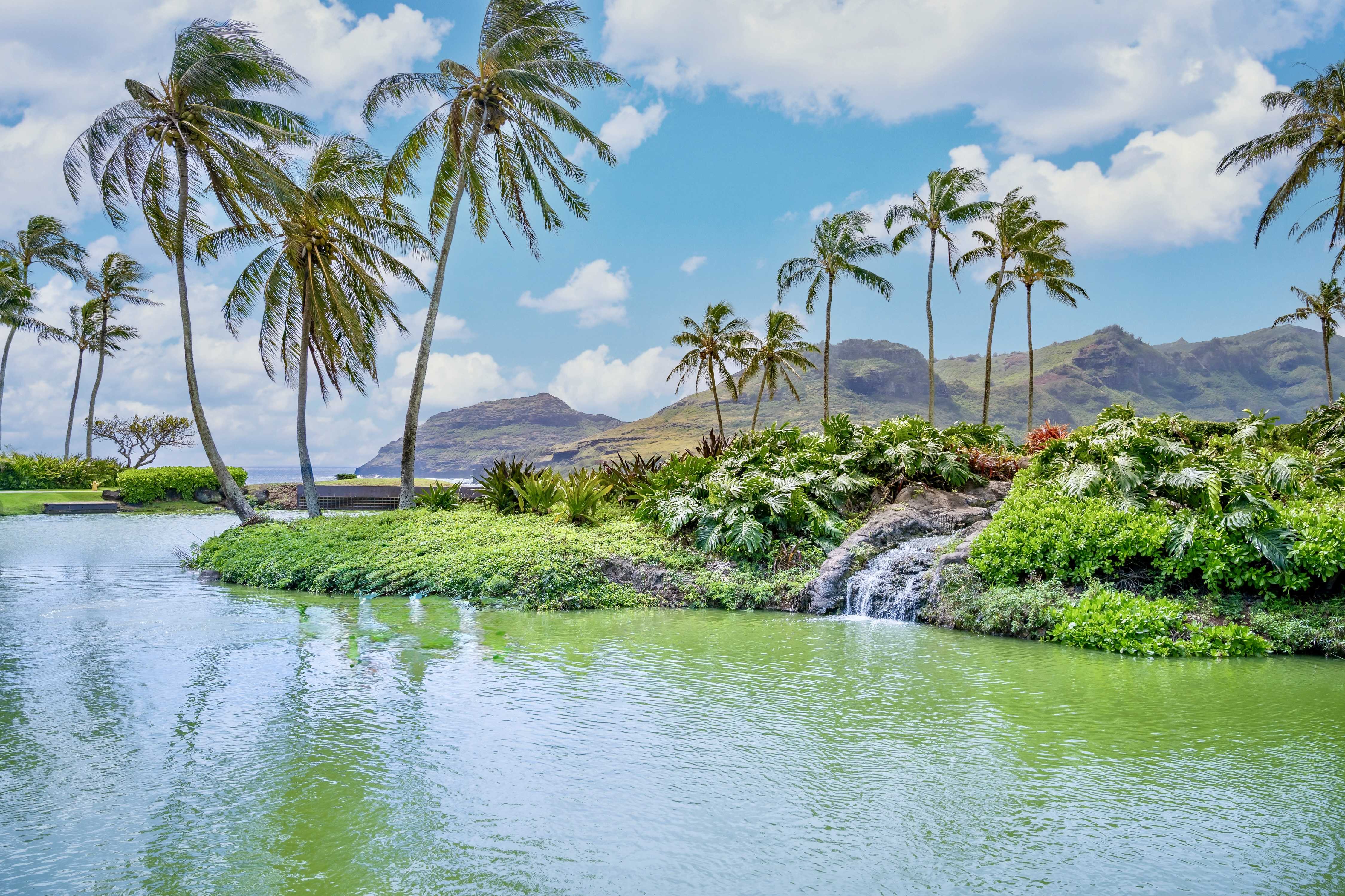 3770 ALAOLI WAY #3003, Lihue, HI 96766
