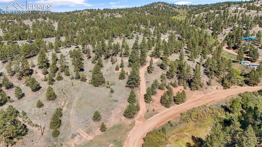 Florissant, CO 80816,163 Valley View DR