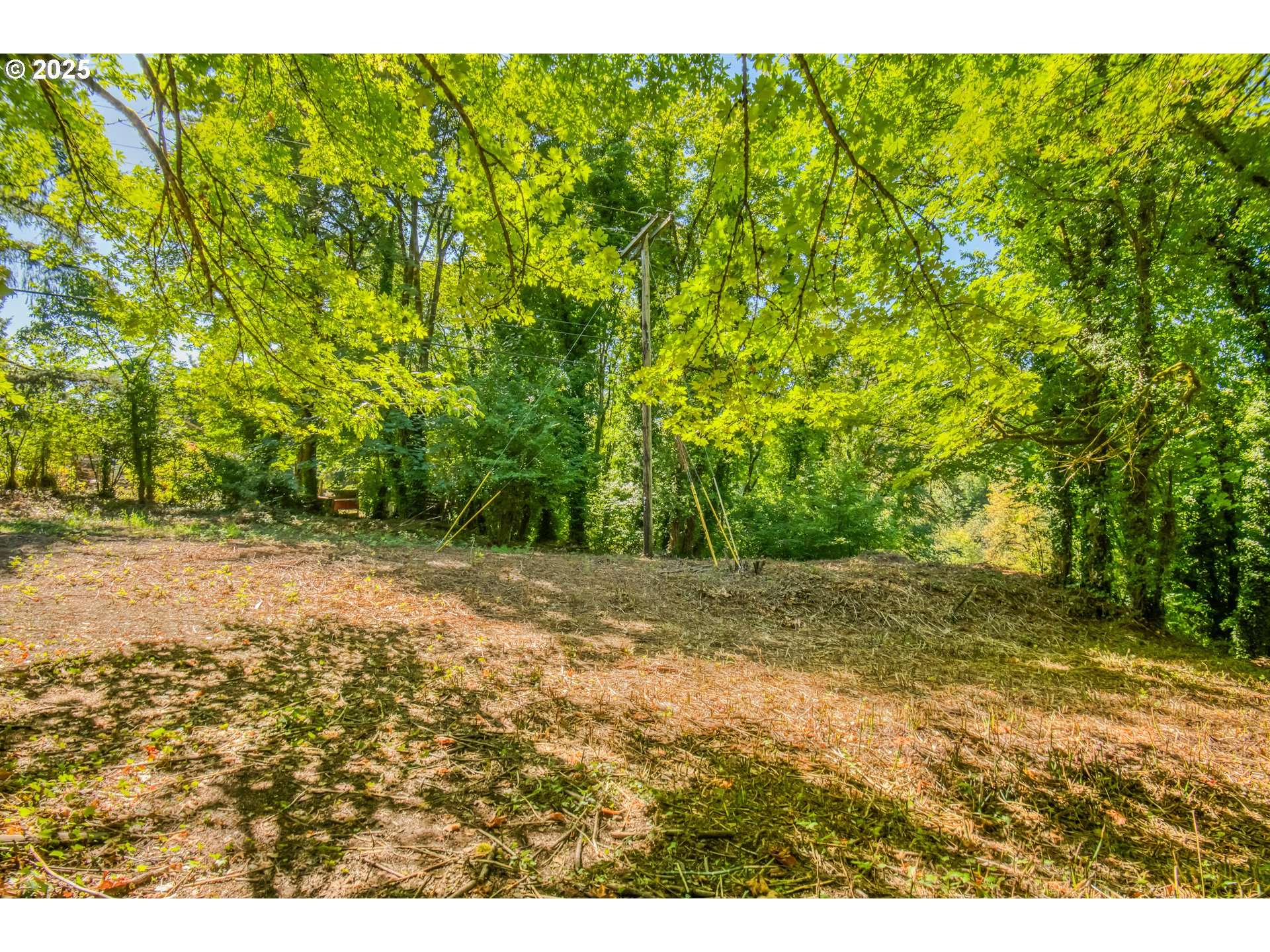 Dayton, OR 97114,0 SE Palmer LN