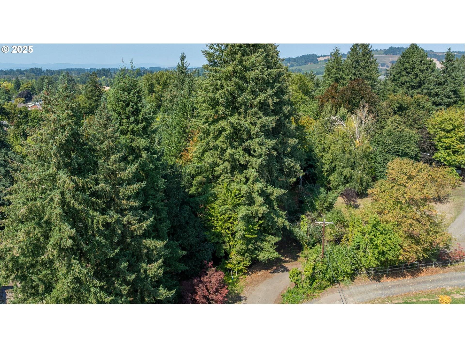 Dayton, OR 97114,0 SE Palmer LN