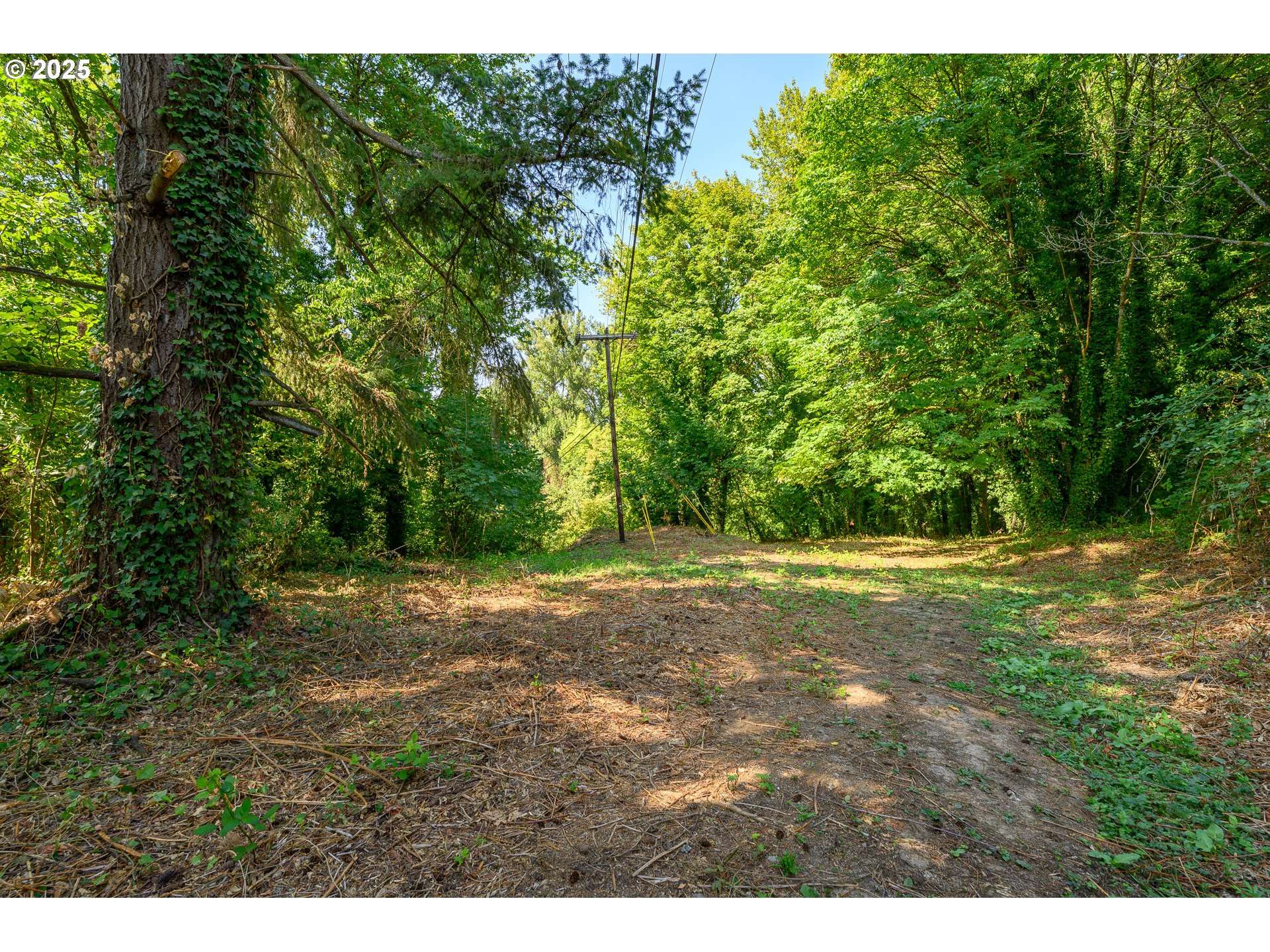 Dayton, OR 97114,0 SE Palmer LN