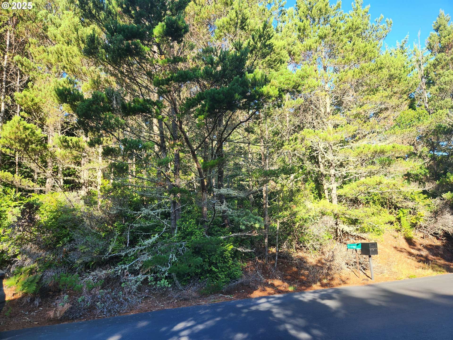 Florence, OR 97439,0 Windleaf WAY #TL4100