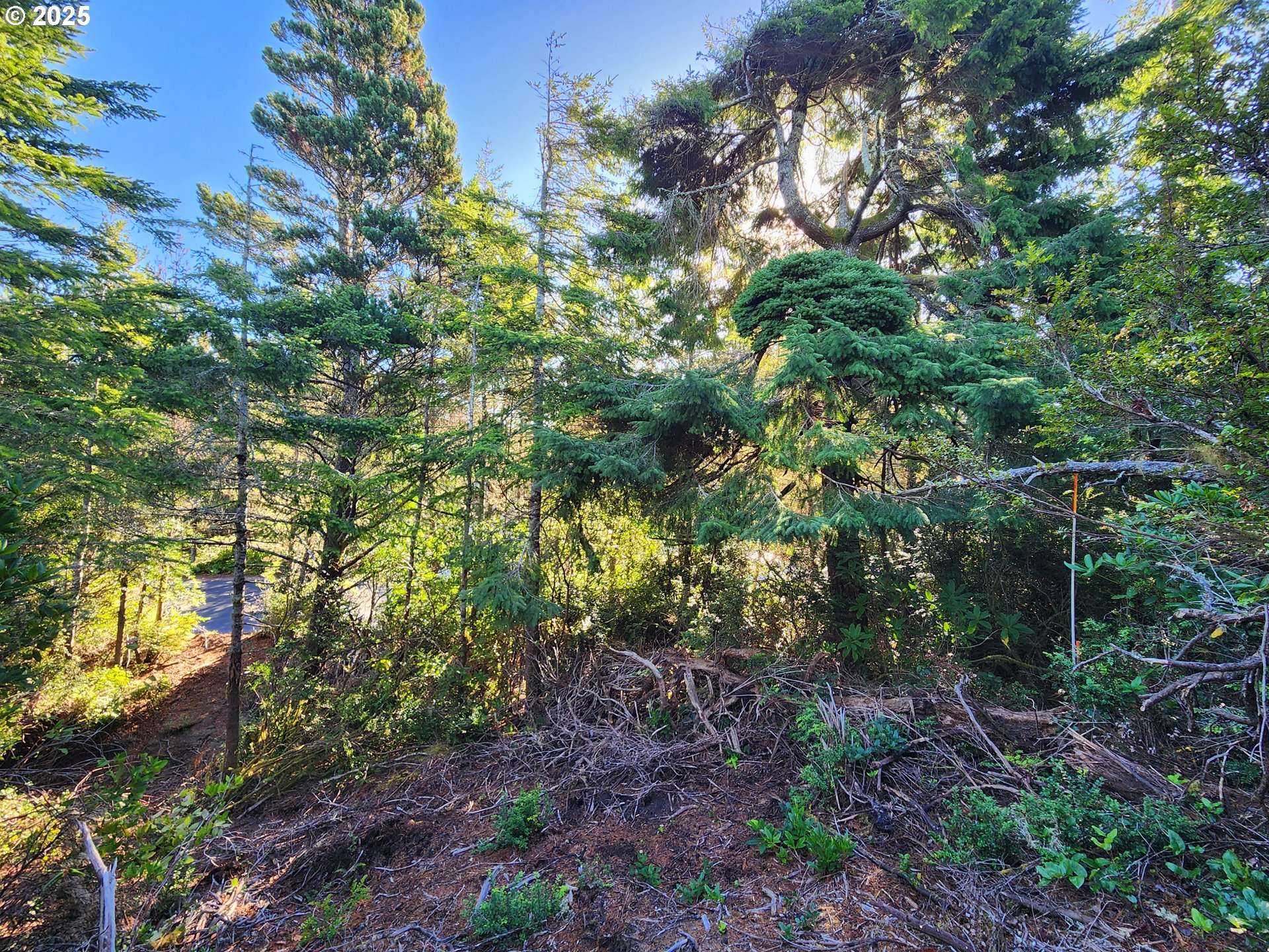 Florence, OR 97439,0 Windleaf WAY #TL4100