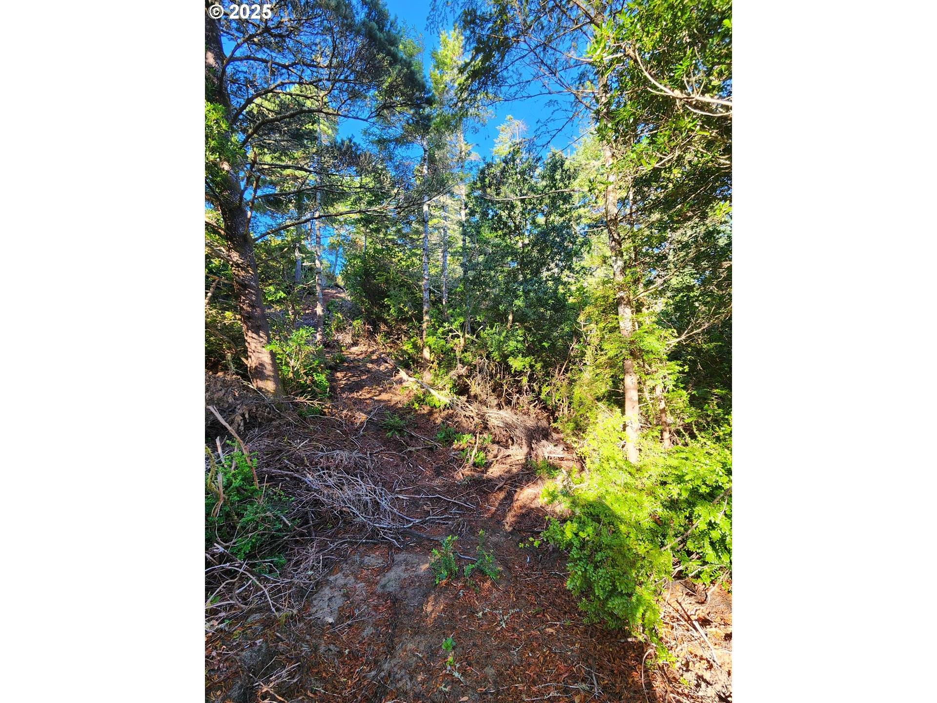 Florence, OR 97439,0 Windleaf WAY #TL4100