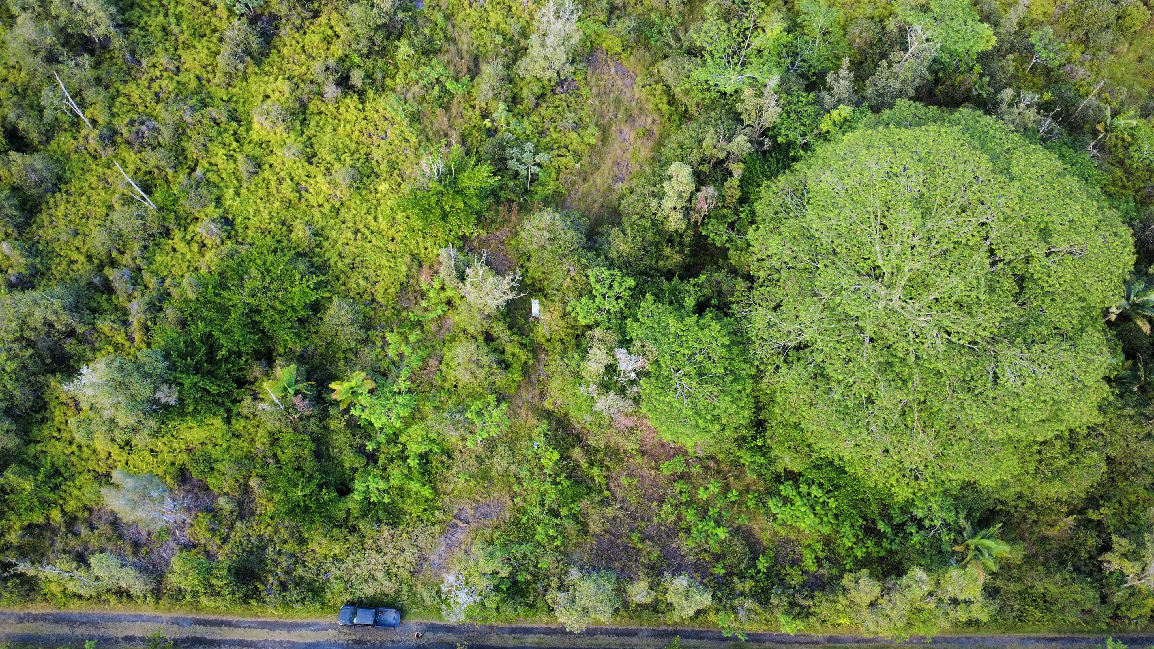 Kurtistown, HI 96760,ROAD 11 (PULELEHUA)